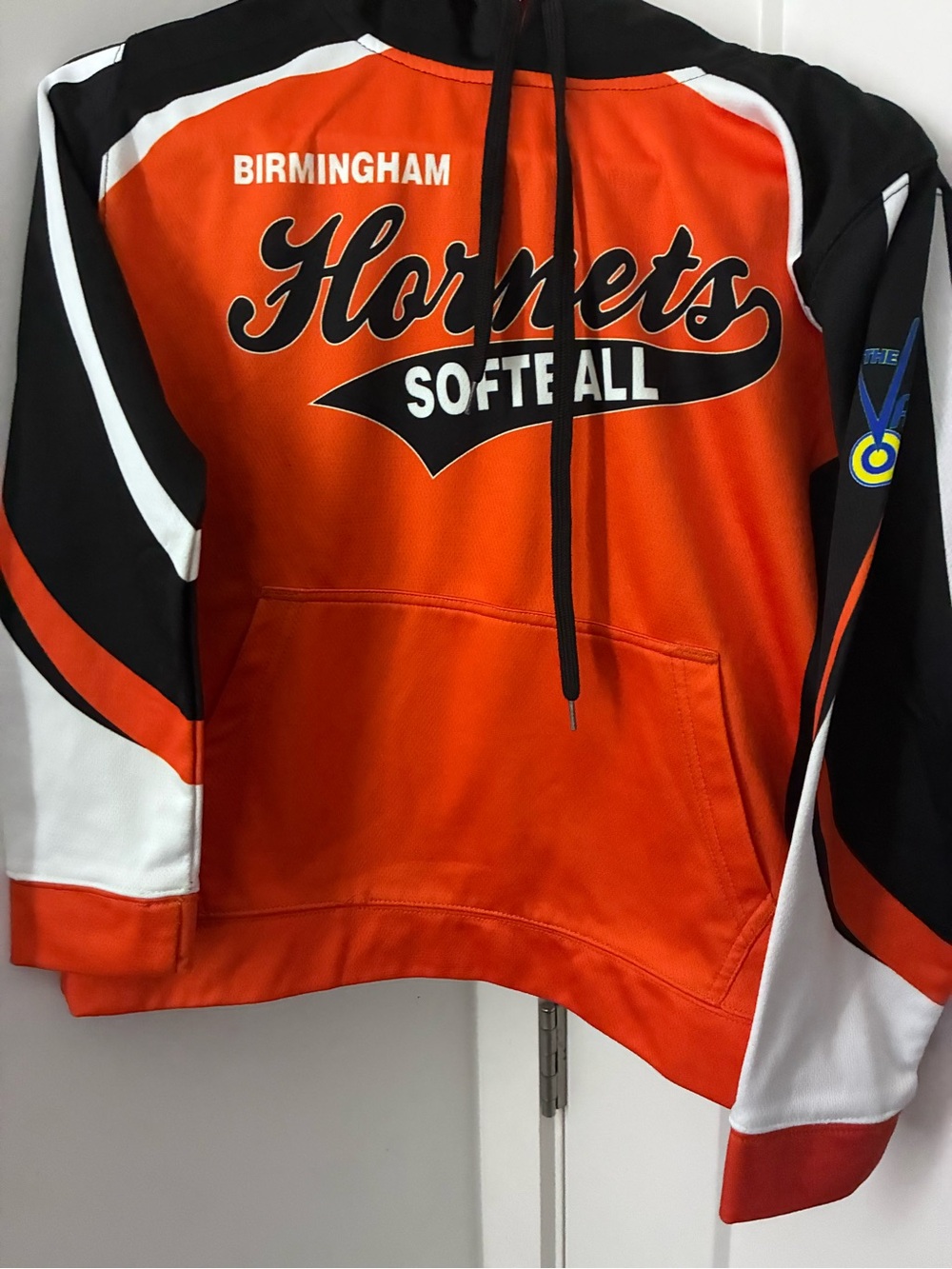 Birmingham Hornets Orange & Black Kids Softball Hoodie